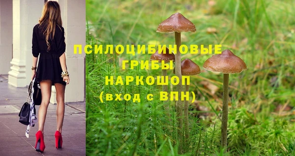 apvp Магас