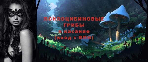 apvp Магас