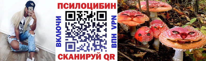 Купить  Северск  Галлюциногенные грибы MAGIC MUSHROOMS 